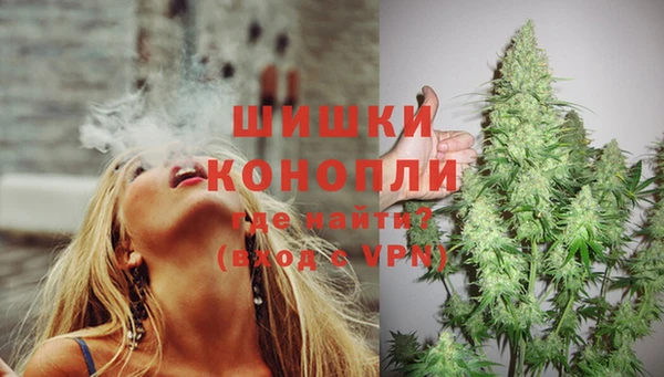 соль ск Абаза